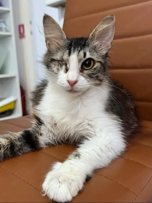 Chiara Chiara - Prinzessin Rosanase sucht Kuschelplatz