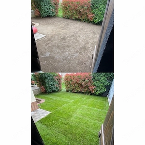 Gartenarbeit Rollrasen 