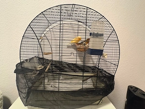 Kanarienvogel pärchen + Käfig 
