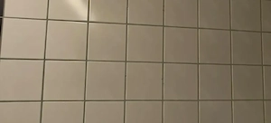 Suche devote Stute-Sklavin zur Benutzung