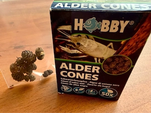 10 Erlenzapfen (Hobby) Naturfutter & Wasserpflege