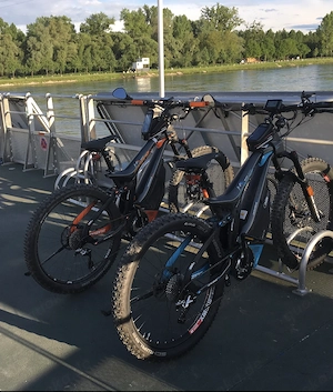 M1 Spitzing E-Bike zu vermieten   Fahrspaß pur im Schwarzwald & Umgebung