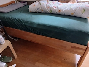 Einzelbett   90x100           Massiv-Holz:  Buche     braun