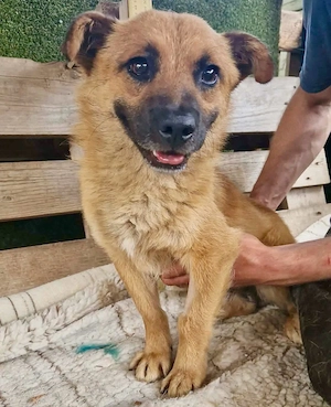 Kleiner Thor sucht sein großes Glück