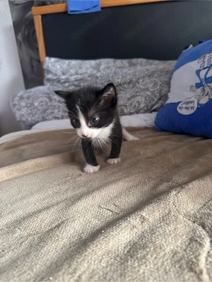 Wir suchen ein neues Zuhause