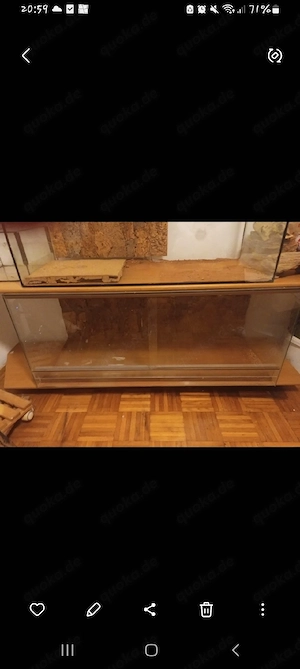 Terrarium mit Zubehör