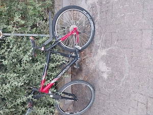 MtB Haibikein rot 21 Gang