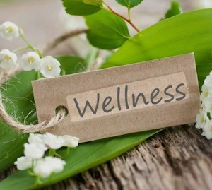 Wellnessmassage gesucht 