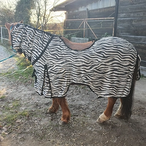 Fliegendecke Zebra 125