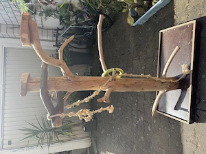 Freisitz für Papageien