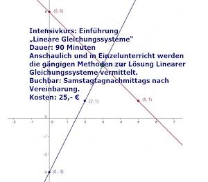 Intensivkurs Lineare Gleichungssysteme