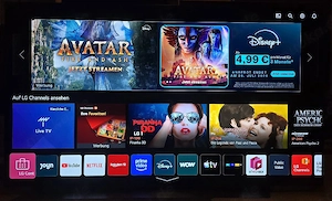 LG OLED WebOS Smart-TV 65 Zoll OLED65CX9LA 4K uhd hdr top Zustand