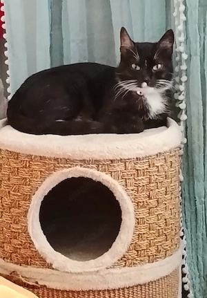 Maja sucht ein neues Zuhause 