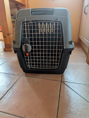 Hundebox zu verkaufen 