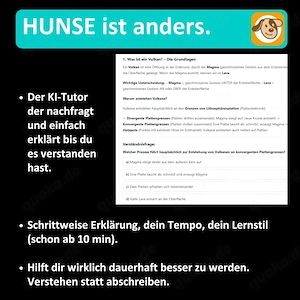 Zeugnis nicht so toll? - HUNSE hilft Dir! - Mit KI-Nachhilfe. Bild 7