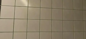 Suche junge devote Stute-Sklavin zur Benutzung