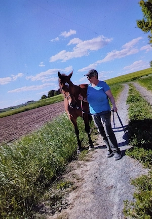 Stallhilfe gesucht ab 01.08.2026