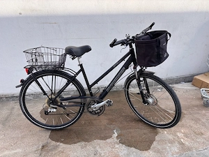 Dynamics Trekkingrad