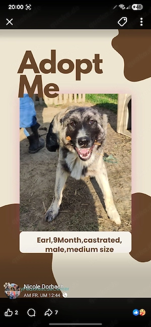 earl sucht ab oktober 