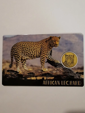 Goldmünze in Coincard "African Leopard" 1 1000 oz 999er Feingold, nur 50.000 Stück!