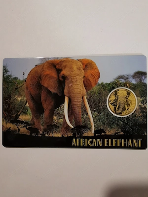 Goldmünze in Coincard "African Elephant" 1 1000 oz 999er Feingold, nur 50.000 Stück!