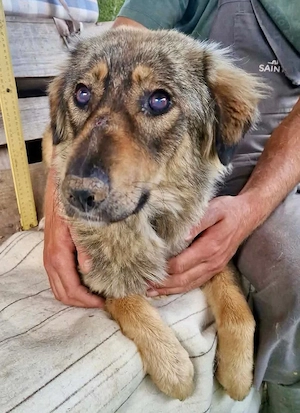 Felina, sie wartet auf ihr Happy End...