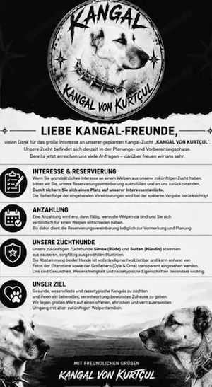 Kangal Wurfankündigung