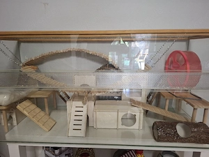 Terraium für Kleintiere