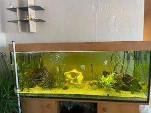 Aquarium groß