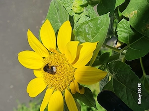 Sommergefühle gemeinsam ausleben,....