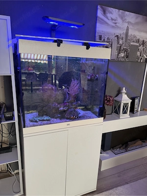 Meerwasseraquarium Juwel Lido 200L Komplettset mit Zubehör   Gebraucht