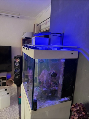 Meerwasser-Aquarium komplett 