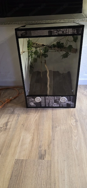 Terrarium 45 45 60