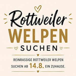 Rottweilerwelpen