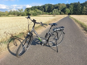 Victoria eTrekking E-Bike
