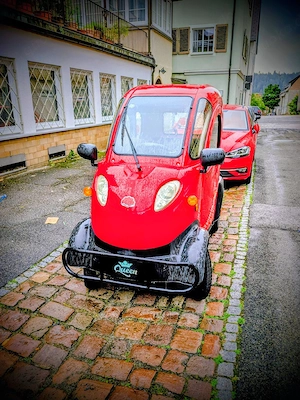 Elektronische Schwarzwald Perle - Wenig KM - 45 km h - Führerscheinfrei