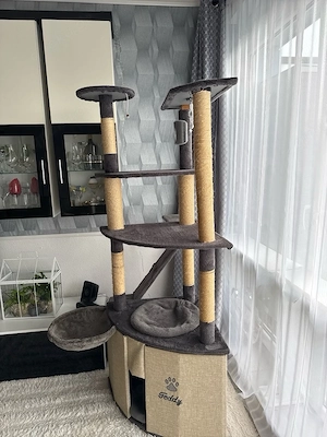 Katzen Kratzbaum