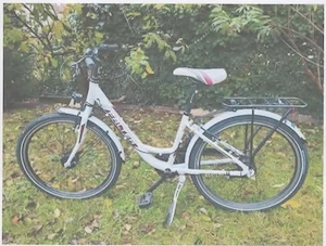 Mädchenfahrrad 24 Zoll - Markenfahrrad "Falter"