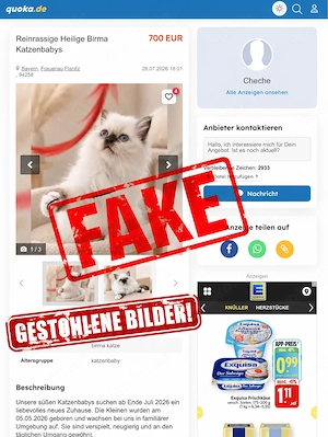    Warnung: Diese Anzeige verwendet Fotos aus meiner Zucht   