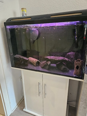 180L Aquarium mit Fischen und Zubehör