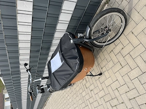Babboe City E Mountain neuwertig zu verkaufen  Bild 2