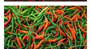 Chilli extra scharf , frisch , gesucht