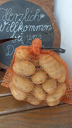 Speisekartoffeln 