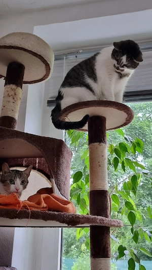 Lilli 10 Monate Nelly 4 Jahre