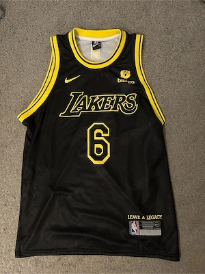 NBA LA Lakers Jersey Lebron James