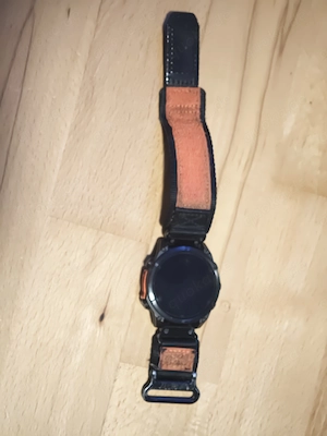 Biete eine Garmin Fenix 8