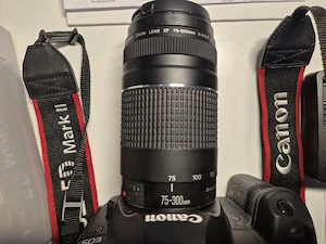Canon EOS 5D Mark II + EF 75-300mm Objektiv NUR 8.202 Auslösungen  Bild 2