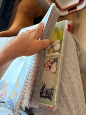 Diddl Ordner mit Inhalt