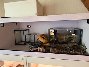 Terrarien + Zubehör 