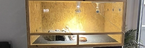 Verschiedene Terrarien zu verkaufen 